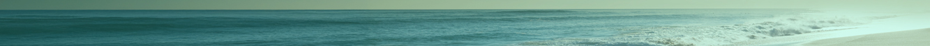 Branding website banner