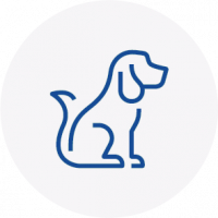 Pet Care